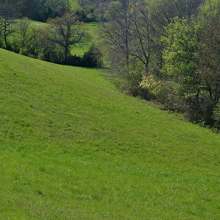 Chambre D'Hote Au Domaine Terre De Chenes Saint-Paul-de-Baise Bagian luar foto