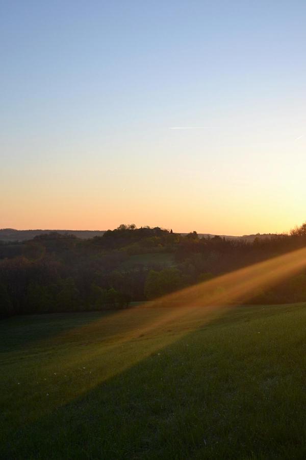 Chambre D'Hote Au Domaine Terre De Chenes Saint-Paul-de-Baise Bagian luar foto