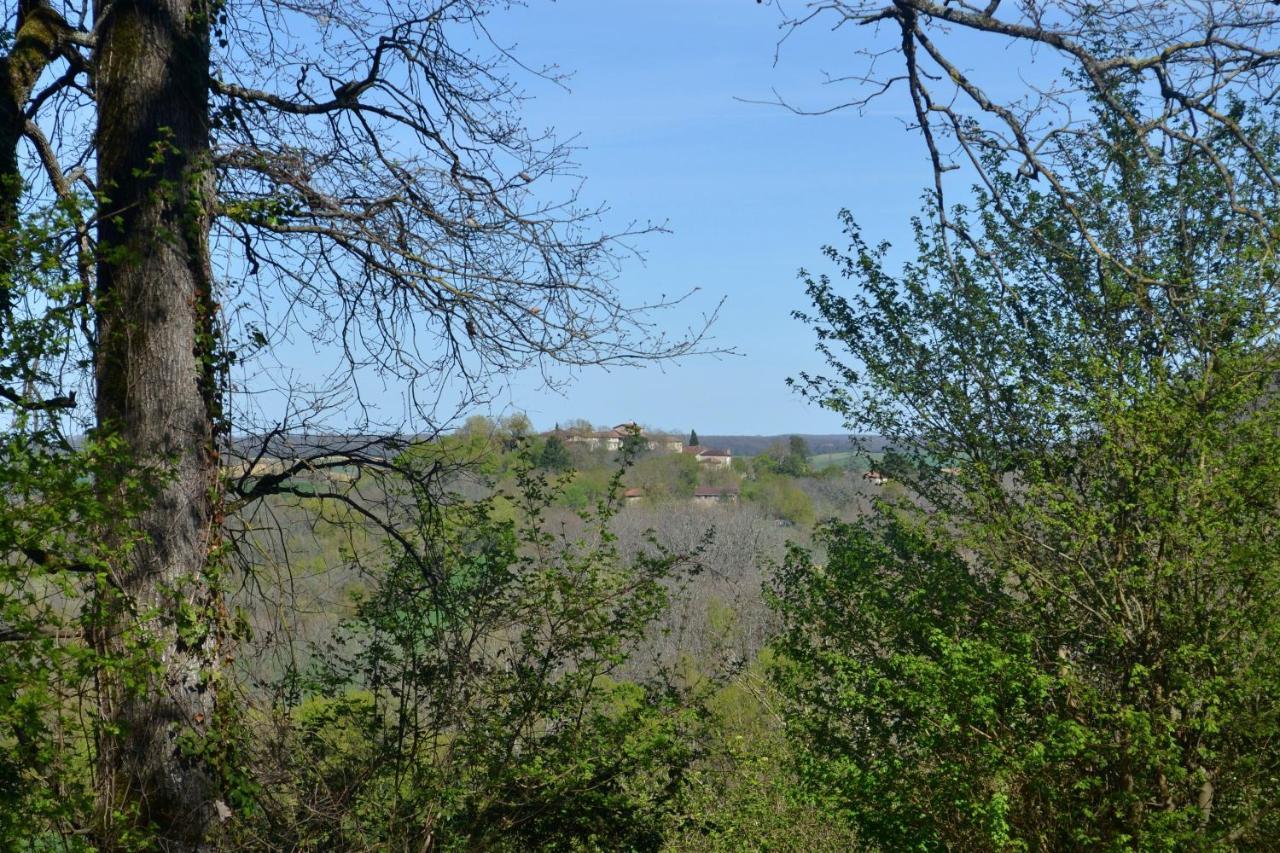 Chambre D'Hote Au Domaine Terre De Chenes Saint-Paul-de-Baise Bagian luar foto
