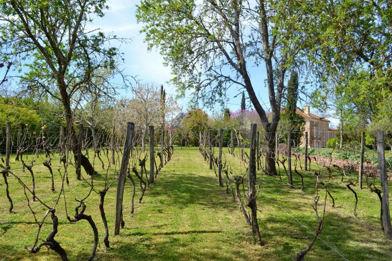 Chambre D'Hote Au Domaine Terre De Chenes Saint-Paul-de-Baise Bagian luar foto