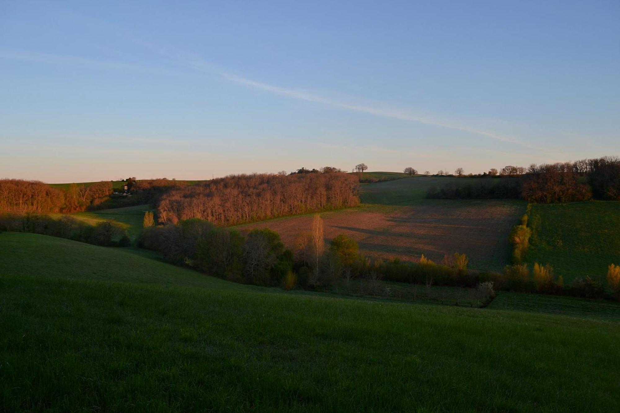 Chambre D'Hote Au Domaine Terre De Chenes Saint-Paul-de-Baise Bagian luar foto
